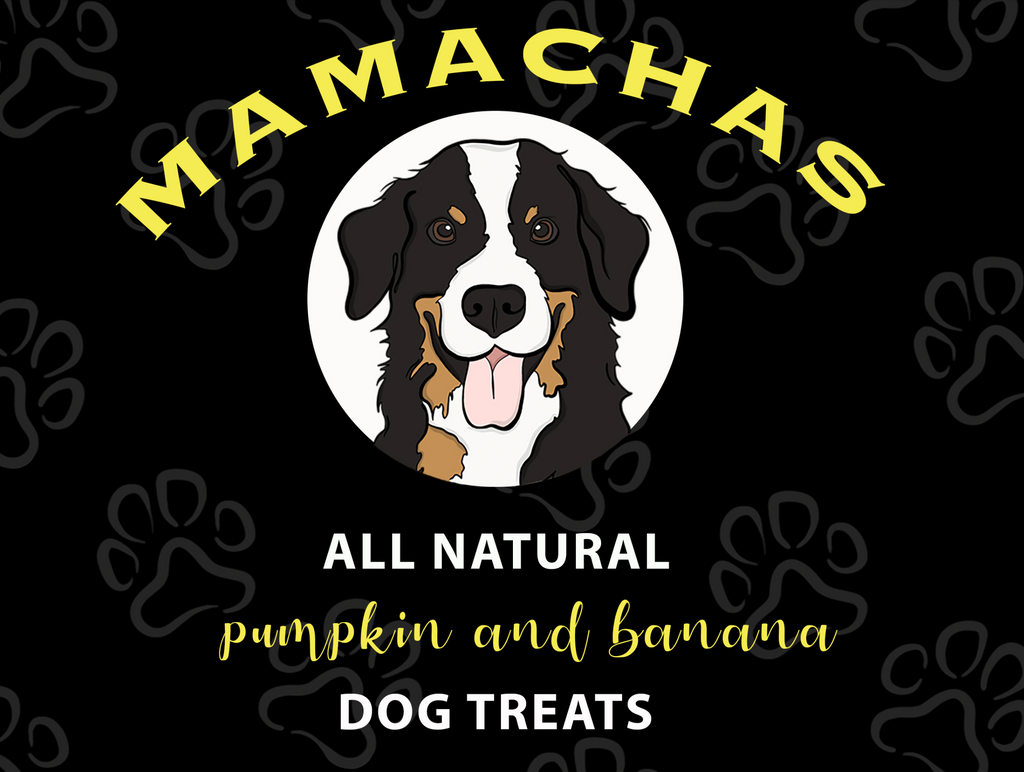 Natural sales dog snacks